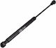 Magneti Marelli Trunk Shock for Renault Megane 96-98
