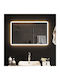 vidaXL Oglindă de Baie Dreptunghiulară Lumini LED 80x50cm Transparent