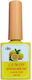 QBD Base Coat για Gel 15ml