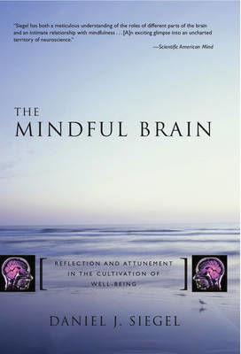 The Mindful Brain, Reflection and Attunement in the Cultivation of Well-being