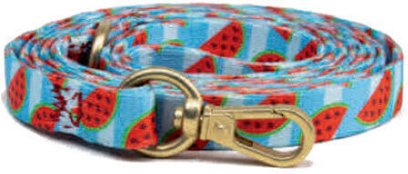 Habby Collar Hundeleine/Führleine Riemen Habby SL01 1.2m x 1cm