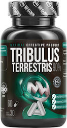 Maxxwin Трибулус Терестрис 90% 500mg 60 Капсули