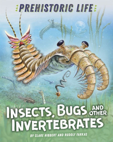 Insects, Bugs and other Invertebrates