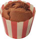 STAC Pet Party Muffin Deliciu pentru câini cu Ciocolata 55gr