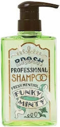 Brosh Funky Minze Shampoo 400ml
