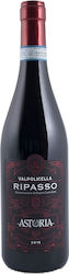Astoria Wines Astoria Ripasso Doc Ερυθρό Ξηρό 750ml
