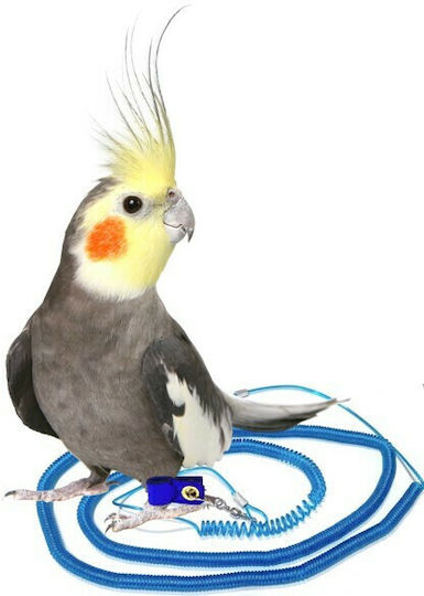 Birds Kingdom Birds Kingdom Αξεσουάρ για Κλουβί Παπαγάλου