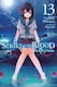 Strike the Blood Vol. 13