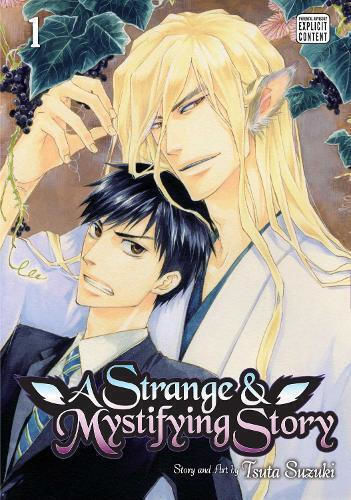A Strange & Mystifying Story Vol. 1