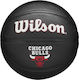 Wilson Team Tribute Mini Basket Ball Outdoor Ch...