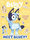 Meet Bluey!, Sticker Activity Book