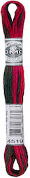 DMC Ață Broderie Mouline 117 Bumbac Multicolore 8m