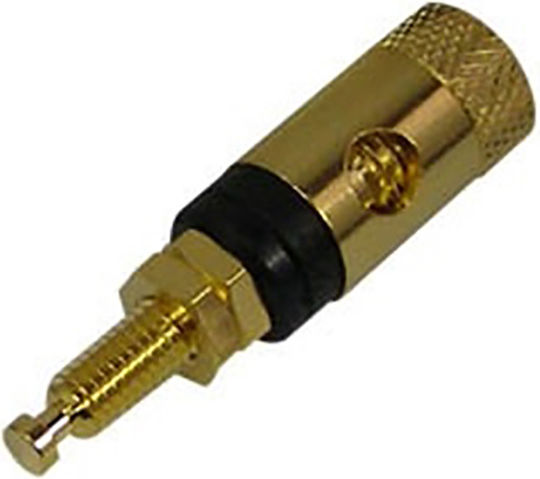 Ultimax Borna Gold Plated 20mm BI-3620G 01.092.0026