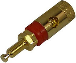 Ultimax Borna Gold Plated 20mm BI-3620G 01.092.0025 Ultimax Borna Gold Plated 20mm BI-3620G 01.092.0025