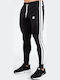 Riverside Pantaloni de trening cu Elastic Negru