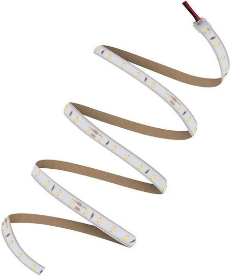 Ledvance Αδιάβροχη Ταινία LED V-2000 24V Φυσικό Λευκό Φως 5m Τύπου SMD2835