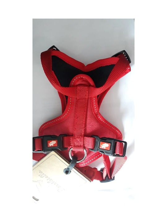 Σαμαρακι Cesare Καφέ XS:1,5cm neck:29-34cm chest:30-44cm