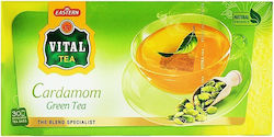 Vital Tea Πράσινο Τσάι 30 Φακελάκια με Άρωμα Κάρδαμο
