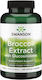 Swanson Broccoli Extract 600mg 120 Capsules