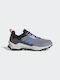 Adidas Terrex AX4 Men's Hiking Shoes Silver Violet / Blue Fusion / Core Black