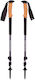 Black Diamond Pair of Telescopic Aluminum Fast ...