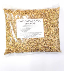 HealthTrade Seed Thistle 100gr