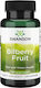 Swanson Bilberry Fruit 470mg 100 κάψουλες