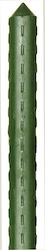 Lianos Βέργα Στήριξης Φυτών 11mmx180cm