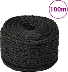 vidaXL Σχοινί Διαμέτρου 16mm με Μήκος 100m Μαύρ...