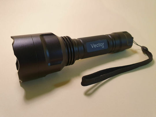 Vector LED с Максимална Яркост 2200лм C8