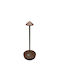 Fos me Koa Decorative Lamp Brown
