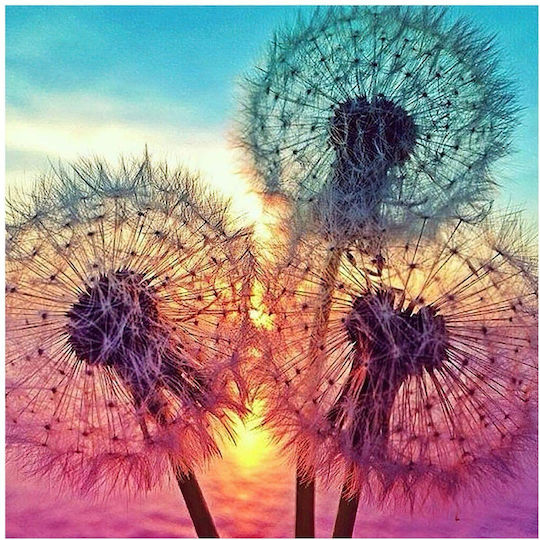 Diamond Painting Canvas Kit 5D DIY Cross Stitch Kit 30x30cm
