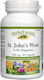 Natural Factors St. John's Wort 300mg 90 Mützen