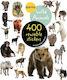 Eyelike, Wild Animals
