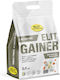 Elit Nutrition Gainer без лактоза с Вкус Ванилов карамел 5kg