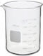 Δίγκας Γ. Ποτήρι Ζέσεως 250ml