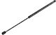 Magneti Marelli Car Trunk Shock for Ford Focus 1998-2001