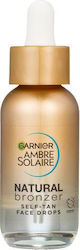 Garnier Ambre Solaire Natural Bronzer Drops 200ml Garnier Ambre Solaire Natural Bronzer Drops 200ml