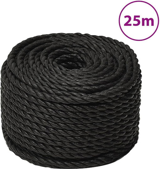 vidaXL Rope with Diameter 10mm and Length 25m Black Working Rope 10mm 25m made of Polypropylene