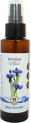 Herbstore Cornflower Spray 100ml