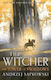 The Witcher, 6: the Tower of the Swallow