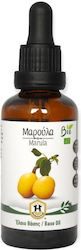 Herbstore Marula Oil 100ml Herbstore Marula Oil 100ml