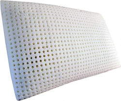 Amve Dream 42 Memory Foam 60x40x15cm