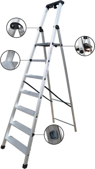 Profal Max110 Ladder Aluminum with 4+1 Steps 172cm