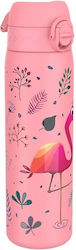 Ion8 Leak Proof Slim Kinder Trinkflasche Disney Autos Kunststoff Flamingo 600ml