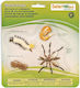 Safari Ltd Life Cycle of a Mosquito Образователна Игра Образователни за 4+ години Години