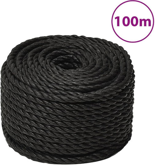 vidaXL Rope with Diameter 12mm and Length 100m Rope Black 12mm 100m Polypropylene