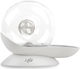 All For Paws Snail Automatic Waterer / Fountain made of ABS Plastic for Dog & Cat with Base 2.8lt in White Color
