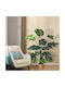 Изкуствено растение в саксия Monstera Green 150см GloboStar