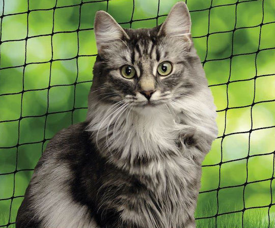 Nobby Cat Net in Black Color 800 x 300cm